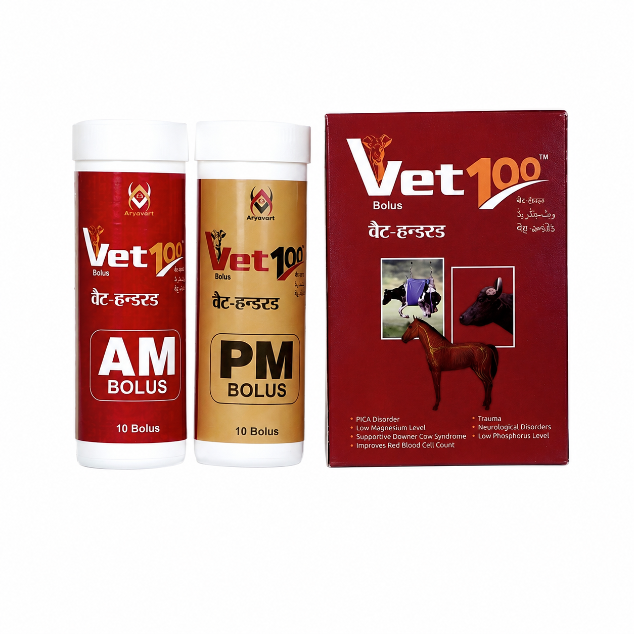 Vet 100